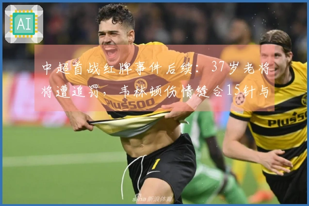 中超首战红牌事件后续：37岁老将将遭追罚，韦林顿伤情缝合15针与妻子陪伴